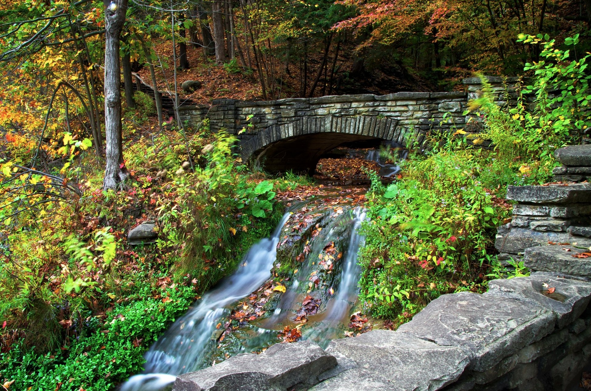Stone Bridge in Forest HD Wallpaper | Background Image  