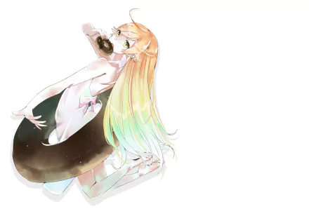 Shinobu Oshino Anime Monogatari (Series) HD Desktop Wallpaper | Background Image