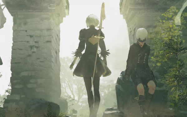 NieR Automata The End of YoRHa Edition for Nintendo Switch Steelbook |  FantasyBox