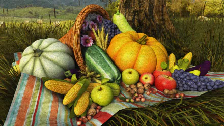 HD Thanksgiving desktop wallpaper featuring a bountiful harvest: pumpkins, corn, apples, grapes, and other produce displayed on a striped cloth picnic-style in a lush, grassy outdoor setting.
