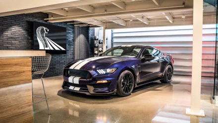 muscle car car Ford Ford Mustang Ford Mustang Shelby vehicle Ford Mustang Shelby GT350 HD Desktop Wallpaper | Background Image
