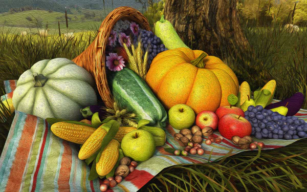 HD Thanksgiving desktop wallpaper featuring a bountiful harvest: pumpkins, corn, apples, grapes, and other produce displayed on a striped cloth picnic-style in a lush, grassy outdoor setting.