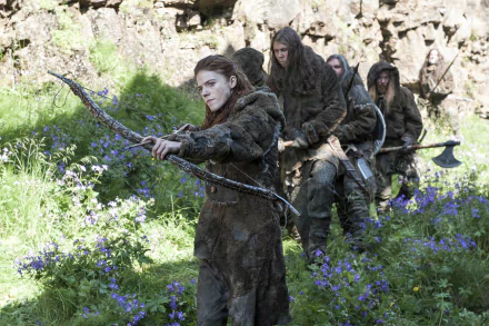 Rose Leslie Ygritte (Game of Thrones) TV Show Game Of Thrones HD Desktop Wallpaper | Background Image
