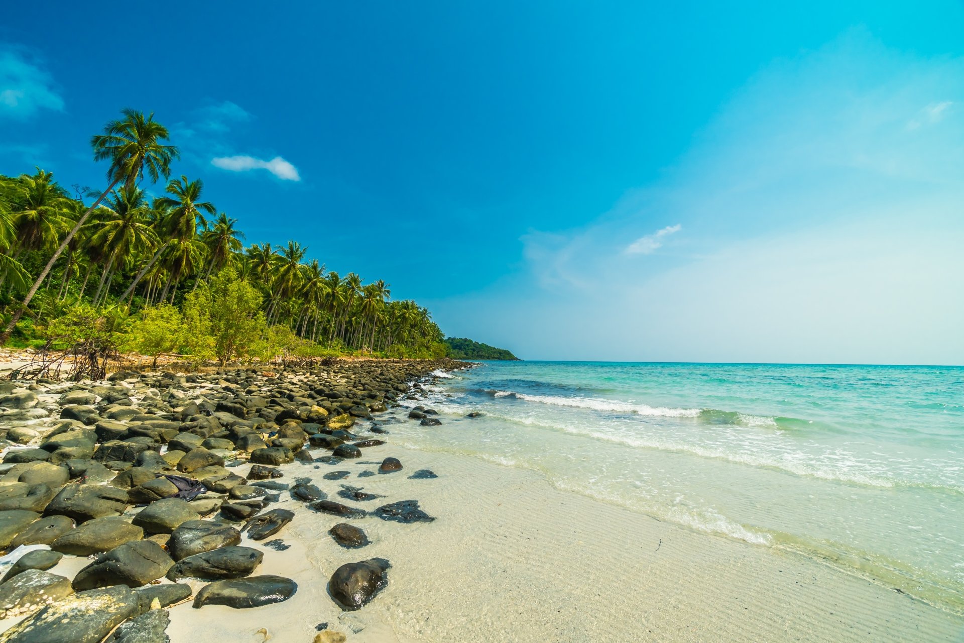 5K Ultra HD PC desktop wallpaper and background: tropical ocean horizon with palm trees, stone-strewn sandy beach and turquoise water under a bright blue sky.
