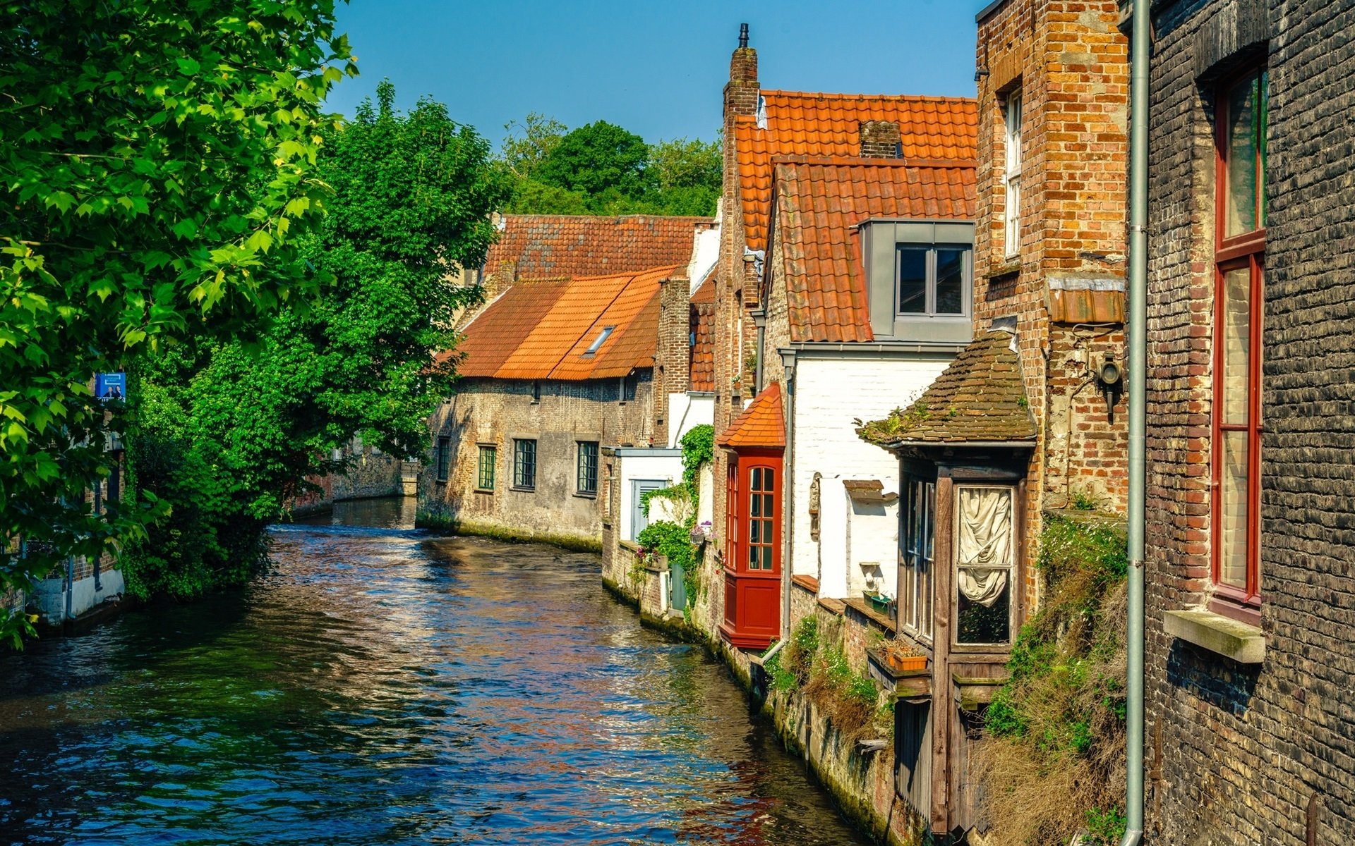 A vibrant HD desktop wallpaper of a charming canal in Bruges, Belgium, lined with historic brick houses and lush greenery under a clear sky.