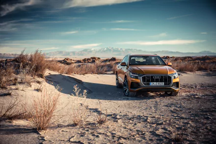 Orange Audi Q8 SUV on sunlit desert terrain beneath a wide sky — 4K Ultra HD PC desktop wallpaper background.