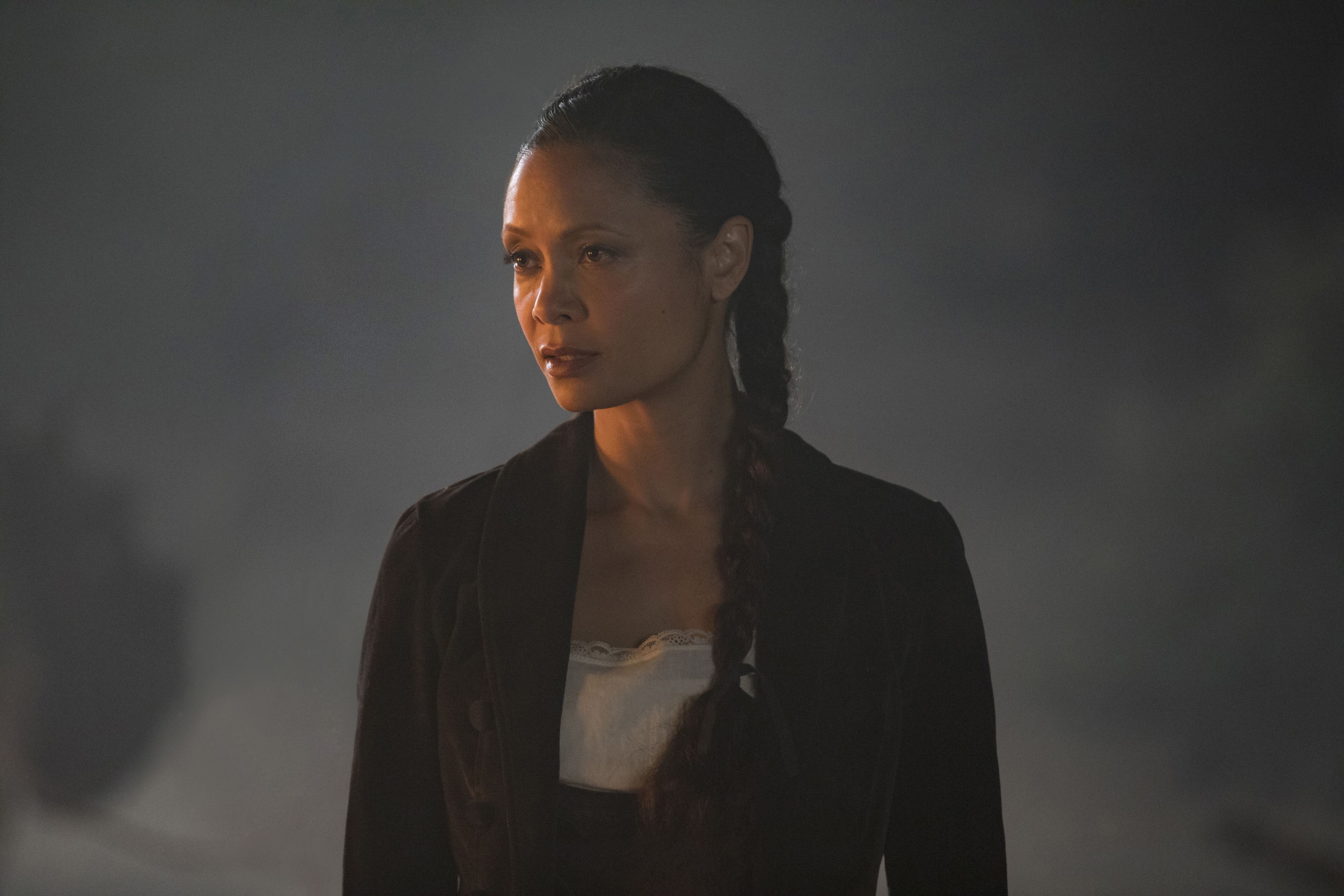 Westworld 4k Ultra HD Wallpaper | Background Image | 3900x2600 | ID