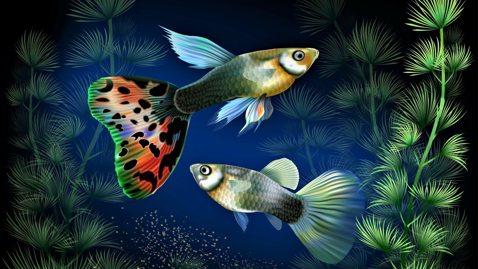 Download Plant Colorful Animal Fish  4k Ultra HD Wallpaper