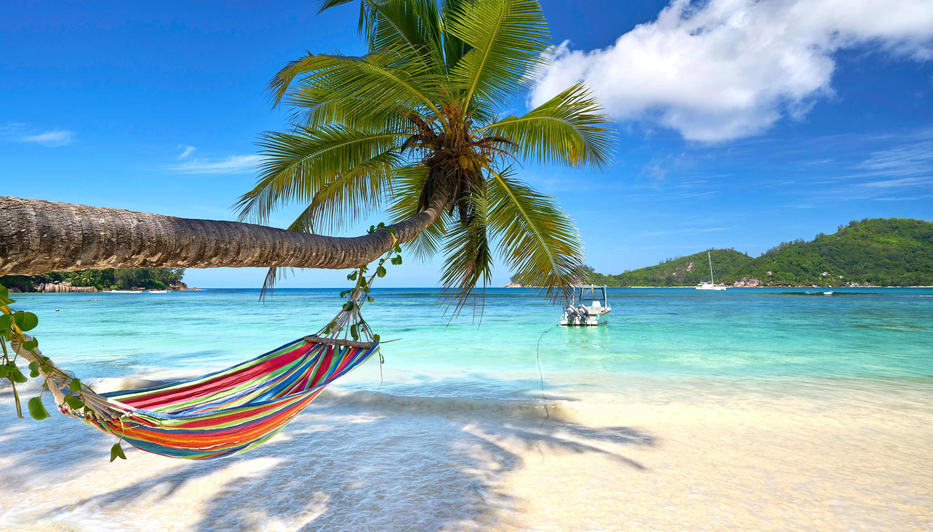 Hammock Attached to Palm Tree on Tropical Beach