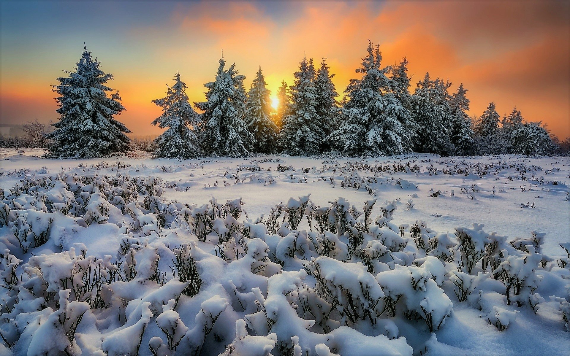 Winter Sunset by Alexander Lauterbach