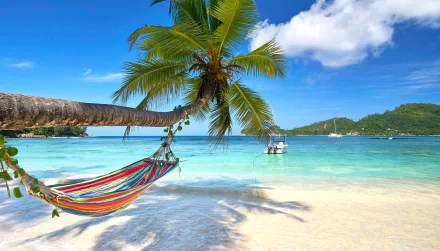 HD desktop wallpaper of a tropical beach with a colorful hammock tied to a palm tree, turquoise sea, clear horizon, and a calm ocean under a blue sky.