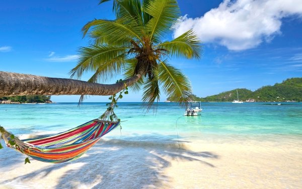 Photography Ocean Beach Tropical Palm Tree Hammock Sea Turquoise Horizon HD Wallpaper | Background Image