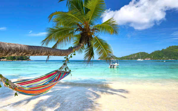 HD desktop wallpaper of a tropical beach with a colorful hammock tied to a palm tree, turquoise sea, clear horizon, and a calm ocean under a blue sky.
