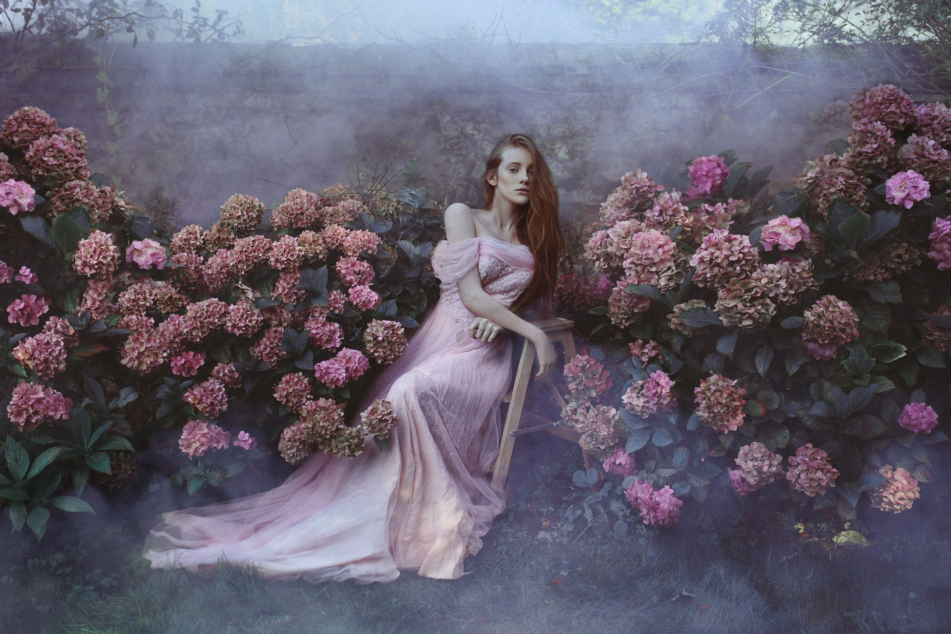 Download Redhead Pink Dress Pink Flower Hydrangea Flower Woman Model HD Wallpaper by rosiehardy