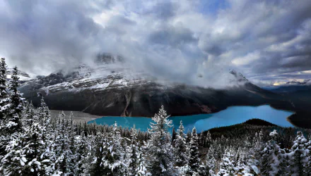 Snow-covered forest surrounds a turquoise lake beneath snowy mountains partially shrouded in clouds at Banff National Park, Canada, showcasing winter nature's beauty.