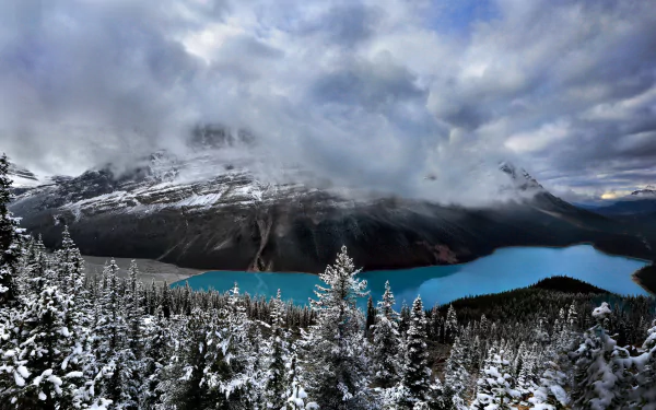 Snow-covered forest surrounds a turquoise lake beneath snowy mountains partially shrouded in clouds at Banff National Park, Canada, showcasing winter nature's beauty.
