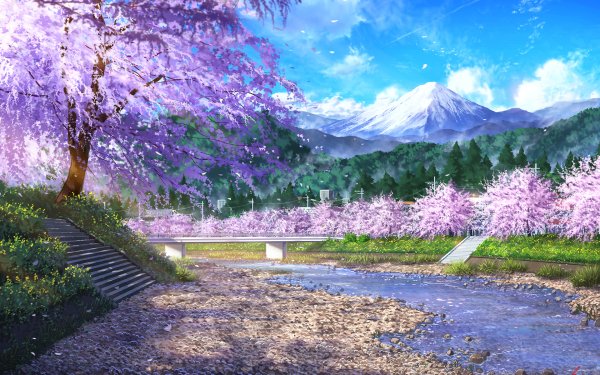 Anime Original Cherry Blossom River HD Wallpaper | Background Image