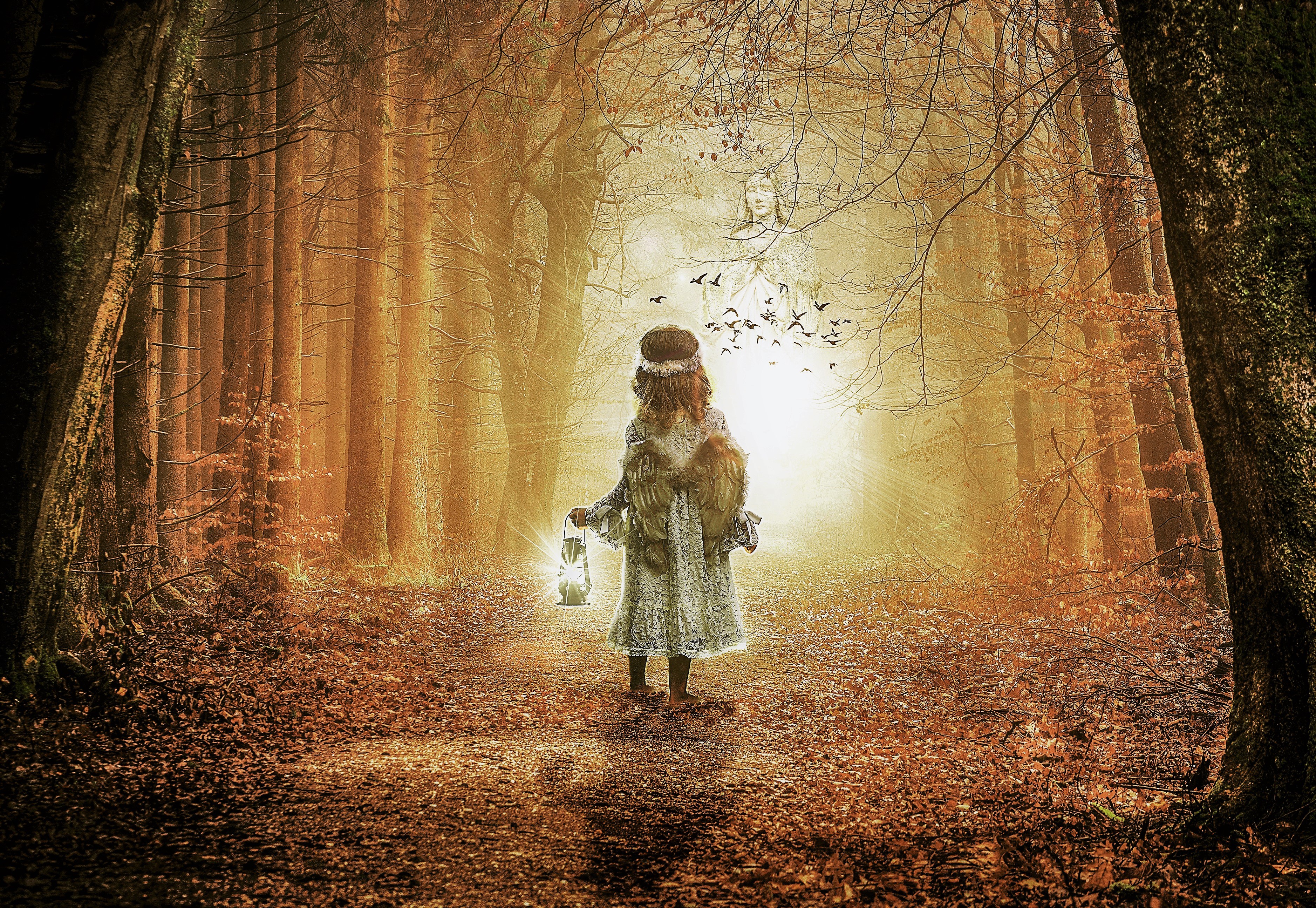 Little Angel in Autumn Forest HD Wallpaper | Background Image | 3755x2590 | ID:939085 ...