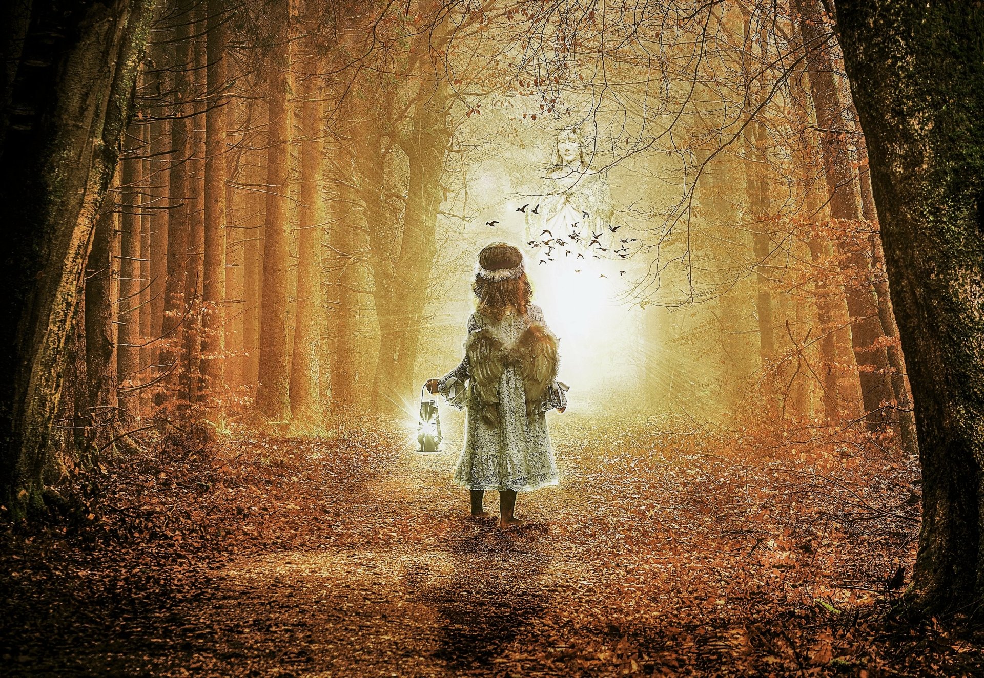 Little Angel in Autumn Forest HD Wallpaper | Hintergrund | 3755x2590 ...