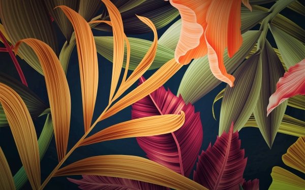 Artistic Leaf Plant Colorful HD Wallpaper | Background Image