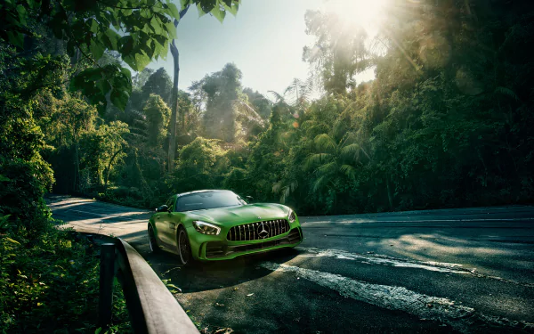 A green Mercedes-Benz AMG GT supercar parked on a winding road surrounded by lush trees, captured in a high-definition desktop wallpaper background.