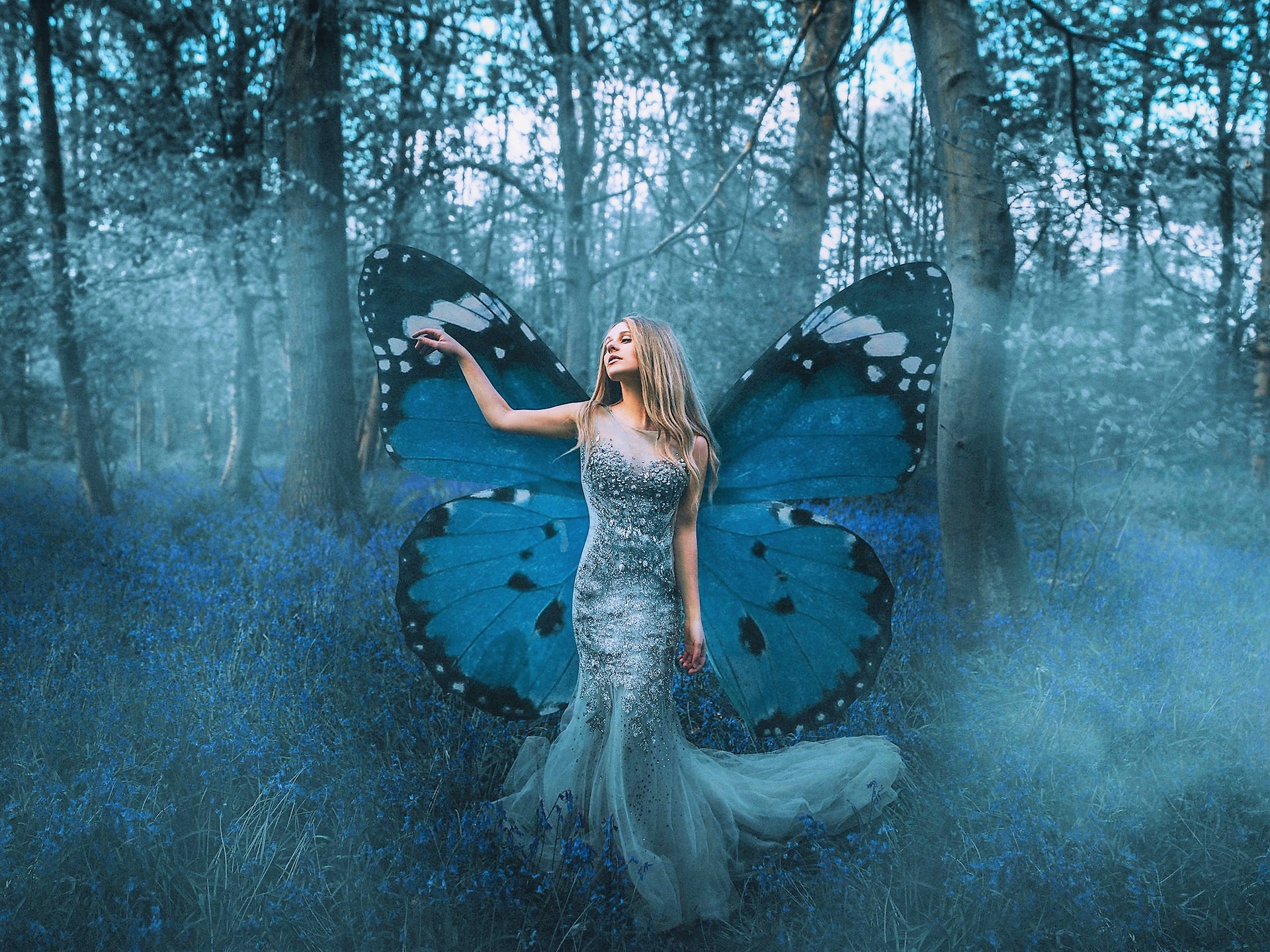 Butterfly Fairy In The Forest