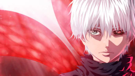 HD anime desktop wallpaper featuring Ken Kaneki from Tokyo Ghoul with white hair and intense gaze against a red and pink background.