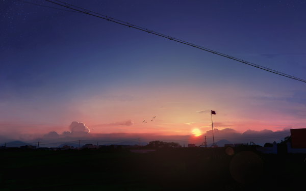 Anime Sunset Bird HD Wallpaper | Background Image