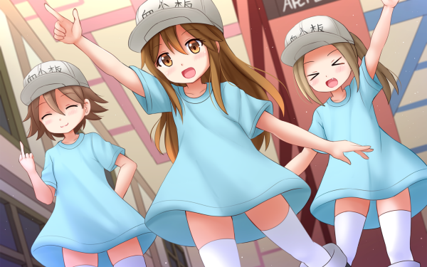 Anime Cells at Work! Hataraku Saibou Platelet HD Wallpaper | Background Image