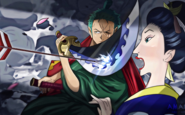 Anime One Piece Tsuru Roronoa Zoro HD Wallpaper | Background Image