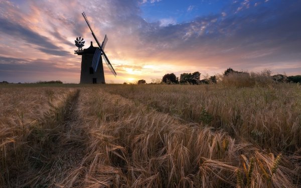 Man Made Windmill Building Summer Wheat Field HD Wallpaper | Background Image