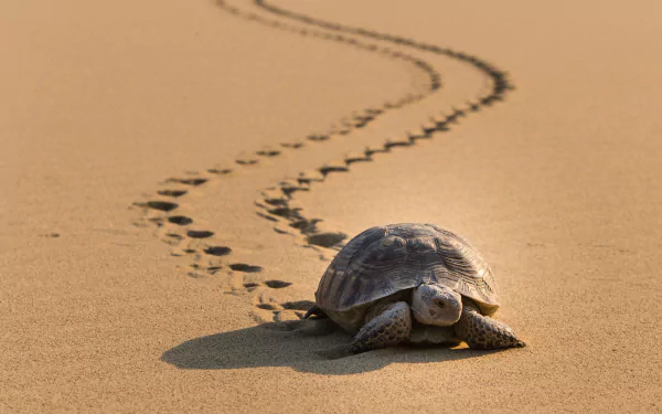 A tortoise makes its way across a vast desert, leaving a trail in the sand. HD desktop wallpaper and background.