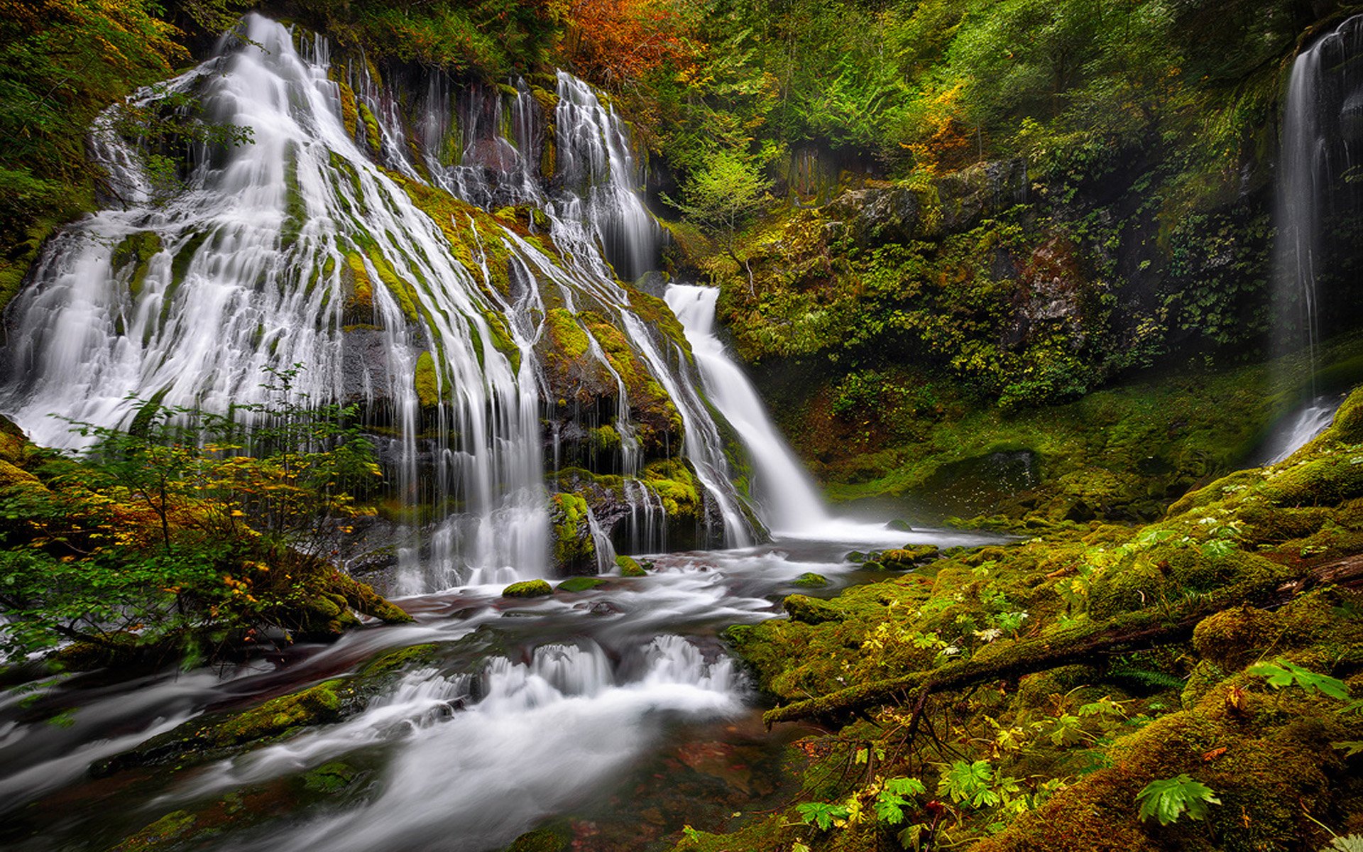 Lush greenery and moss surround the cascading McKenzie Falls river in this vibrant nature scene, captured in HD for a stunning desktop wallpaper background.