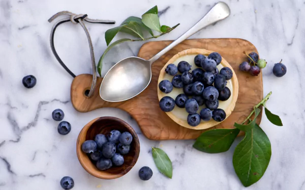 tart berry blueberry still life pastry food dessert HD Desktop Wallpaper | Background Image
