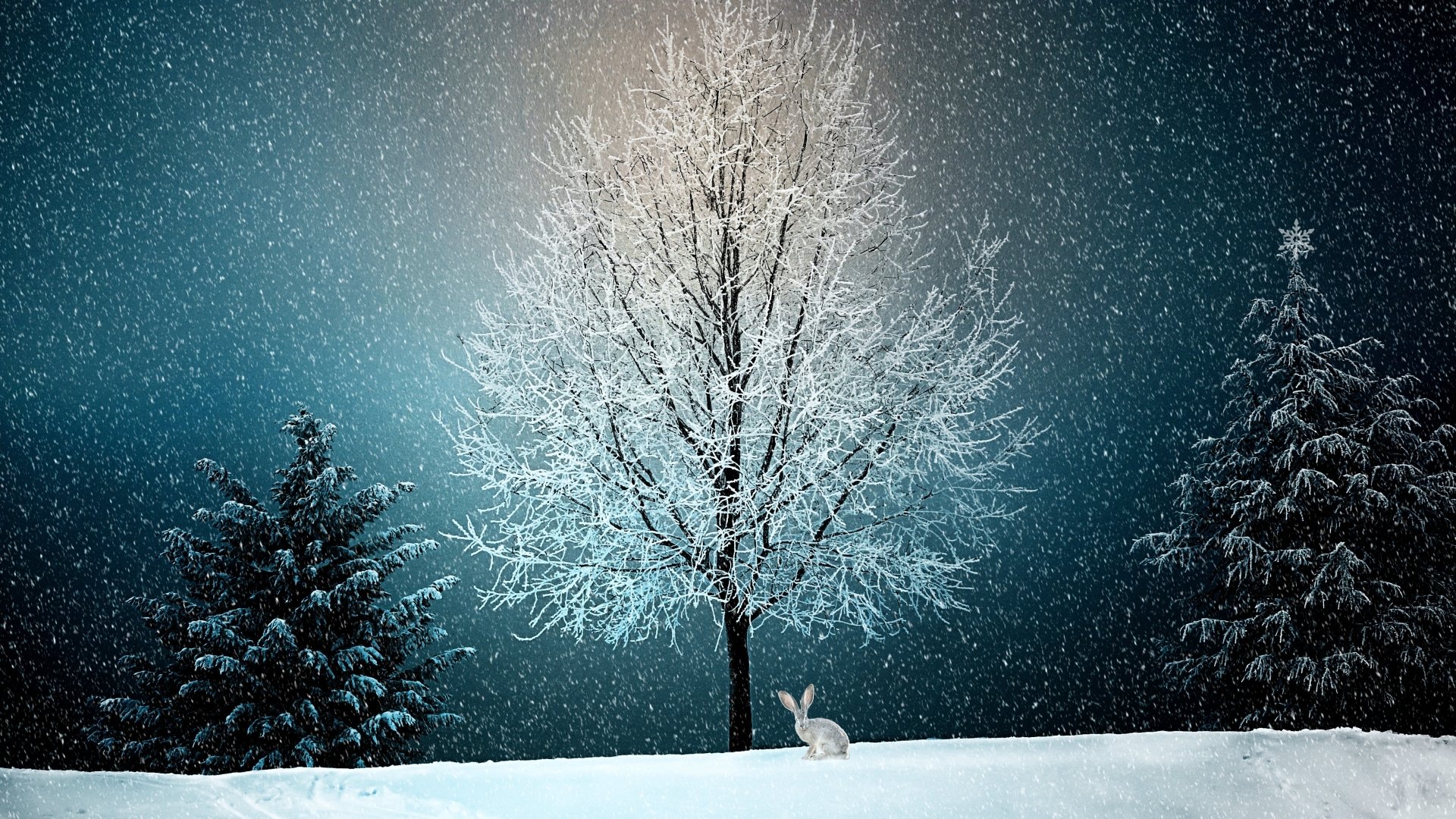 A serene winter scene with a lone bunny sitting in fresh snow beneath a frosted tree, captured in artistic detail for a 4K Ultra HD PC desktop wallpaper.