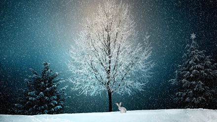 A serene winter scene with a lone bunny sitting in fresh snow beneath a frosted tree, captured in artistic detail for a 4K Ultra HD PC desktop wallpaper.