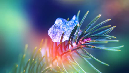 HD desktop wallpaper of a close-up pine branch with a clear ice crystal, showcasing vibrant natural colors and sharp details.