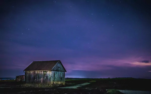  Purple Night
