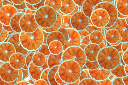  Orange Slices