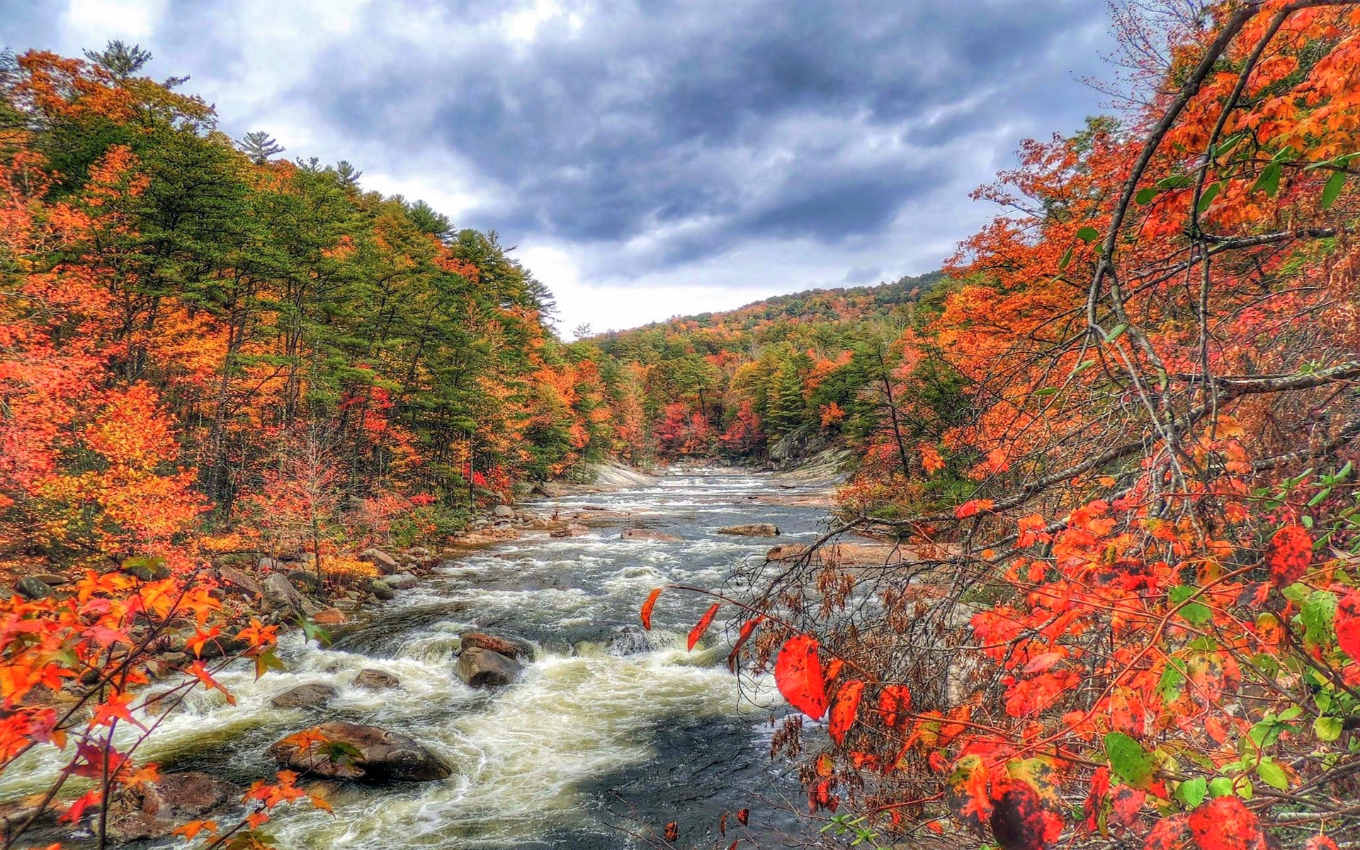 Autumn Stream