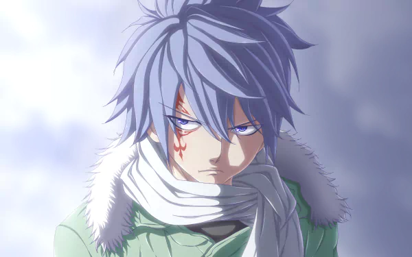 Jellal Fernandes Anime Fairy Tail HD Desktop Wallpaper | Background Image