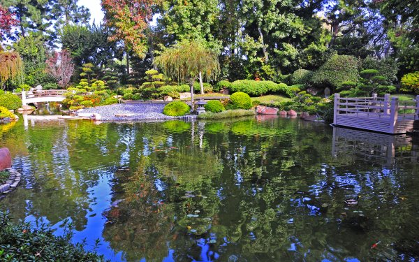 Photography Park Reflection Nature HD Wallpaper | Background Image