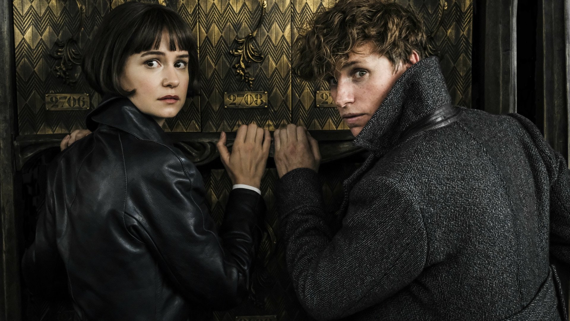 Download Newt Scamander Eddie Redmayne Katherine Waterston Movie Fantastic Beasts: The Crimes Of Grindelwald 4k Ultra HD Wallpaper