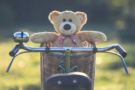 teddy bear man made stuffed animal HD Desktop Wallpaper | Background Image