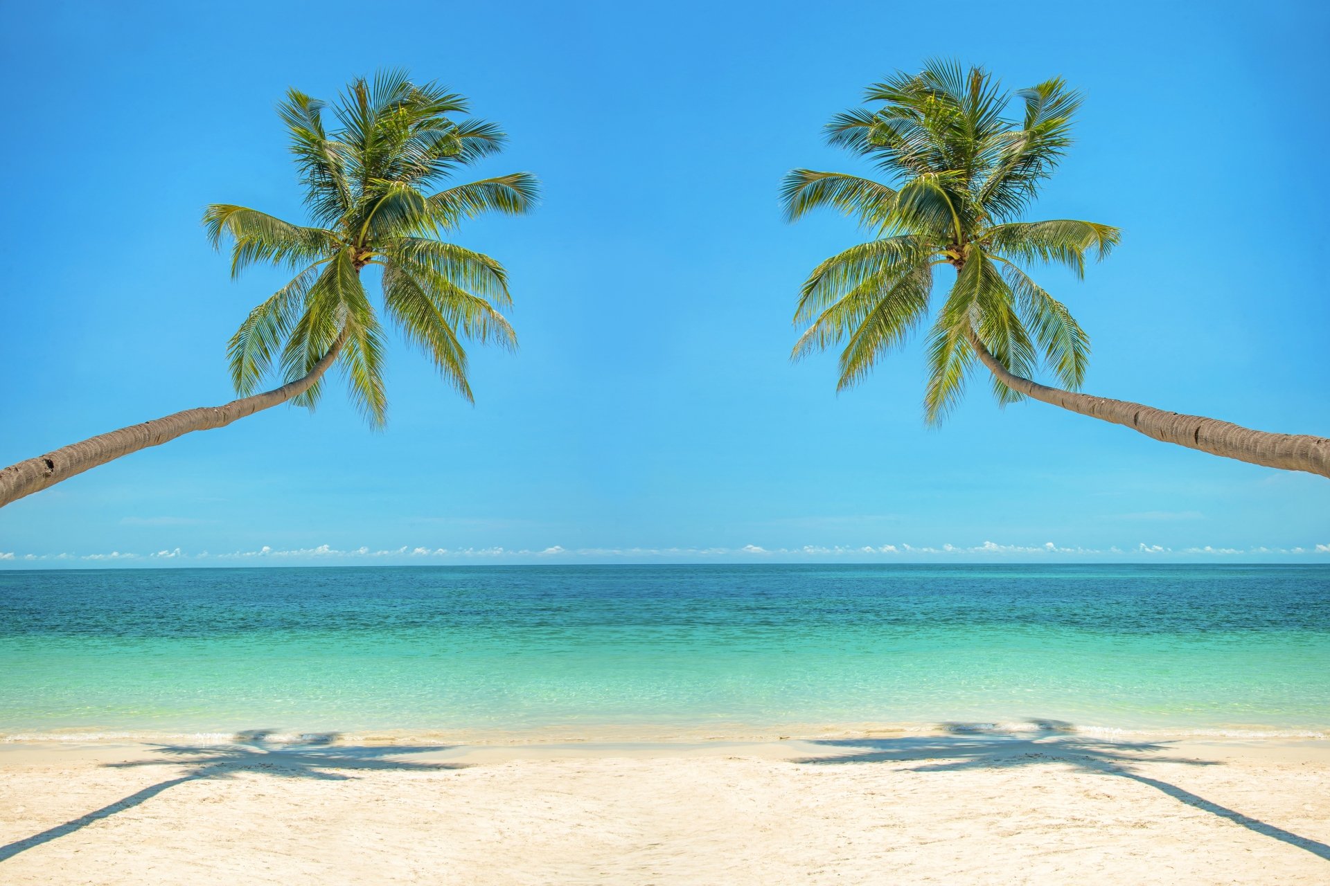 Download Palm Tree Sky Horizon Nature Ocean Tree 4k Ultra HD Wallpaper ...