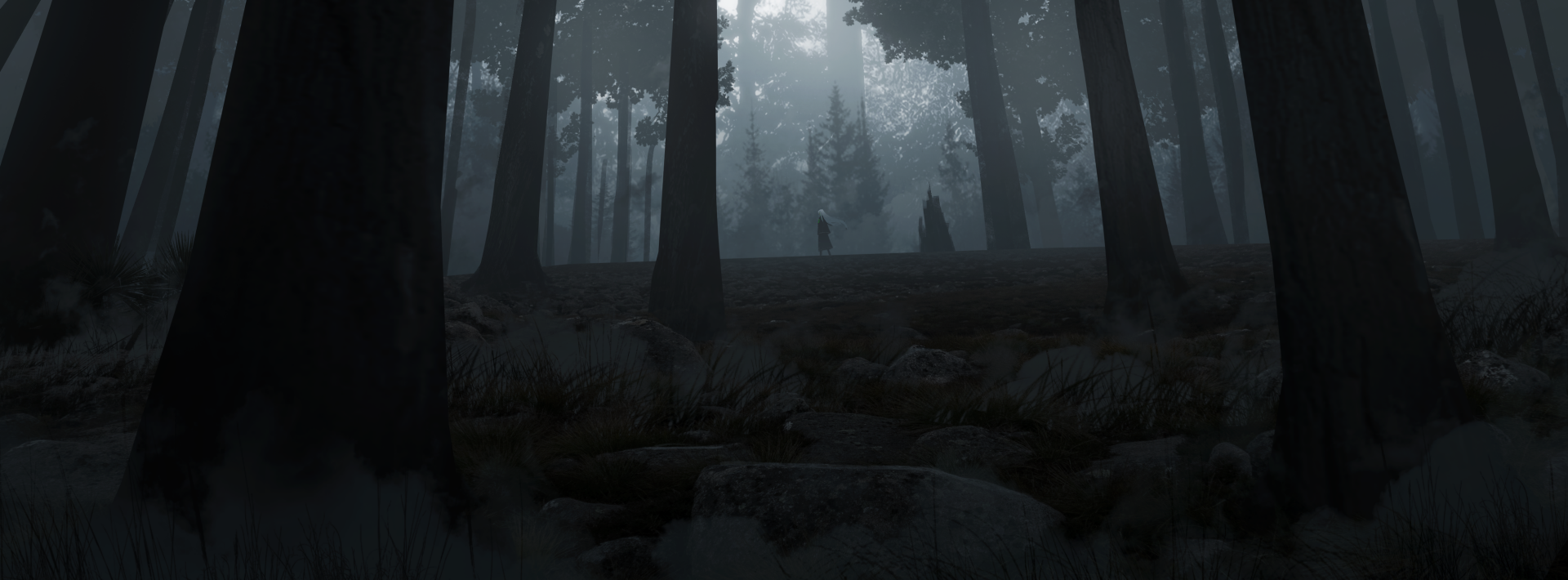 Mysterious Anime character with white hair standing in a dark forest - HD desktop wallpaper.