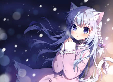 HD anime wallpaper featuring an original character with long, flowing hair, cat ears, and expressive, wide eyes. The background has a dreamy, night-time ambiance with glowing orbs of light.