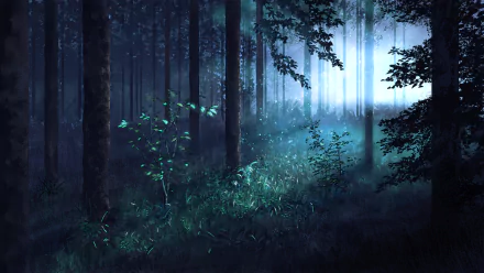 Anime-style HD desktop wallpaper featuring a mystical forest bathed in moonlight, with tall trees and luminous undergrowth.