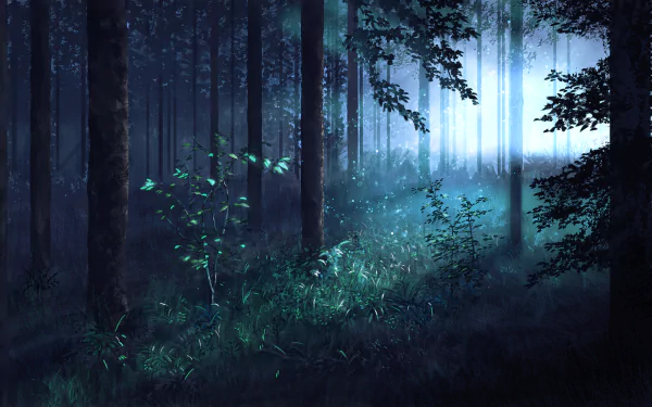 Anime-style HD desktop wallpaper featuring a mystical forest bathed in moonlight, with tall trees and luminous undergrowth.