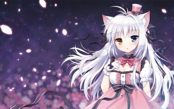 177 Cat Girl Hd Wallpapers Background Images Wallpaper Abyss